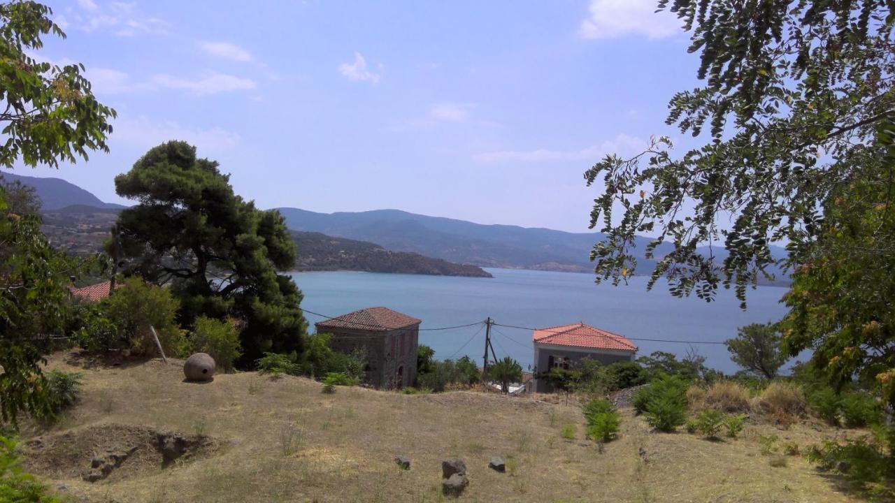 Antoinette Oda ve Kahvaltı Mithimna